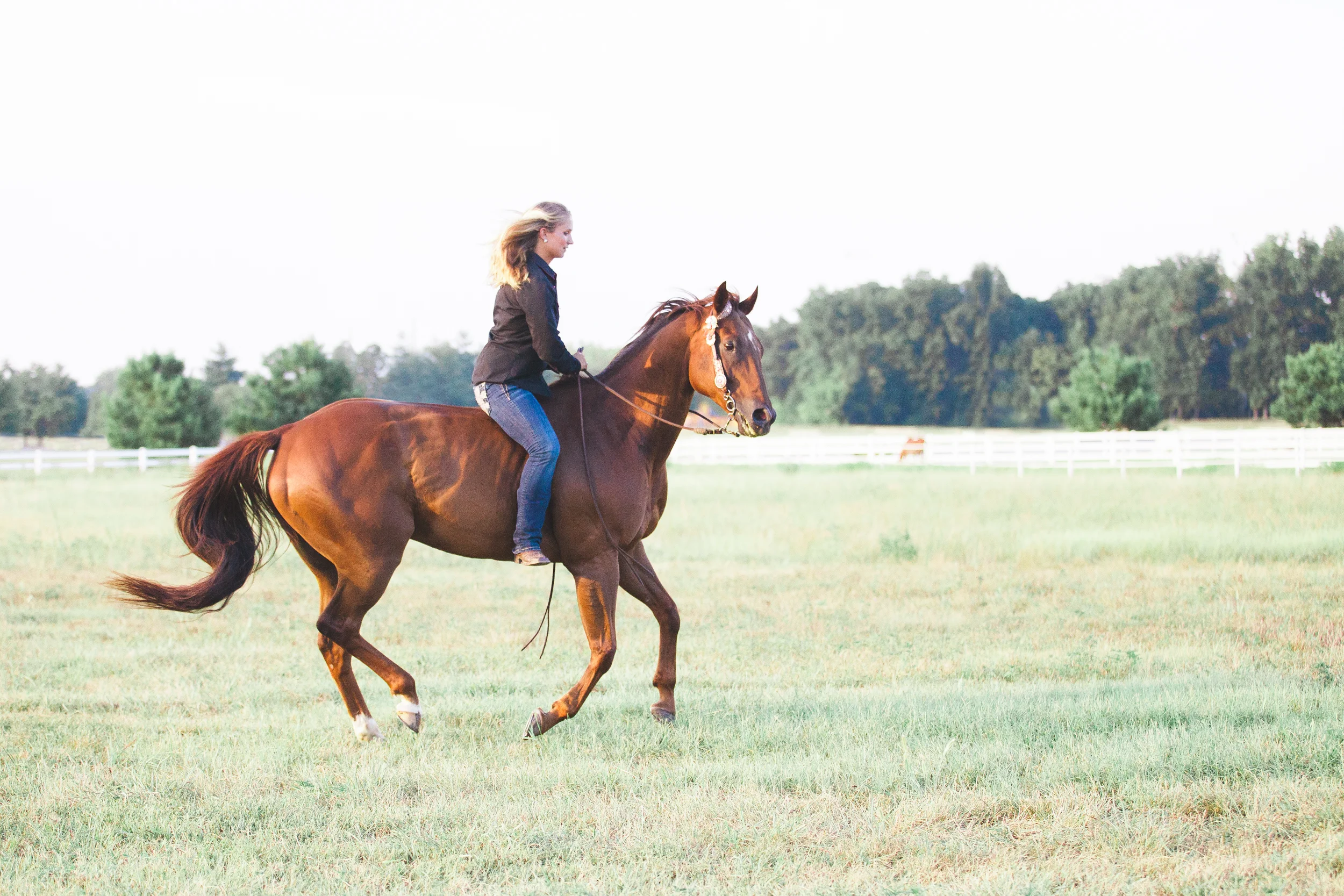 bethanygracephoto-equine-photography-maryland-virginia-28.JPG