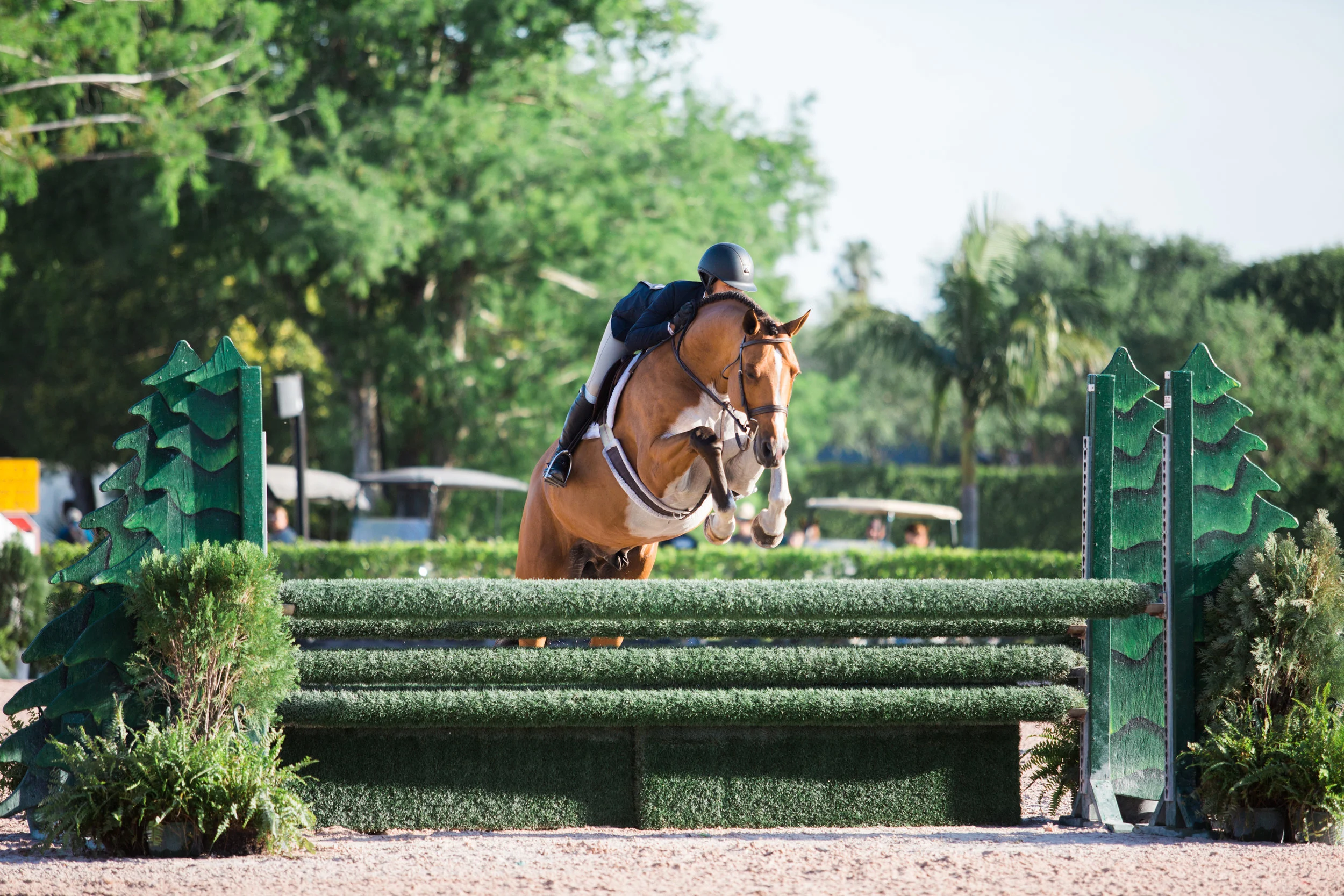 bethany-grace-photography-wellington-horse-show-florida-winter-equestrian-festival-remarkable-mimi-gochman.JPG