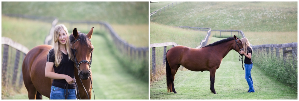 equine-photography-portrait-equestrian-staunton-virginia-photographer-maryland_0005.jpg