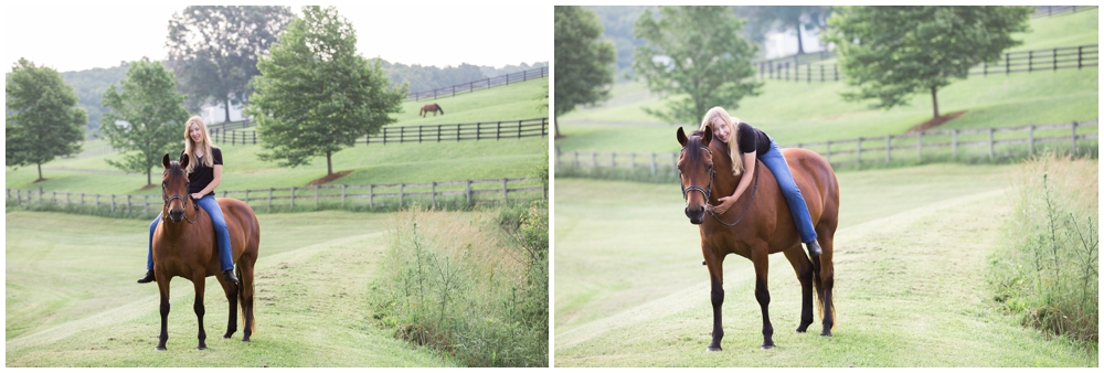 equine-photography-portrait-equestrian-staunton-virginia-photographer-maryland_0008.jpg