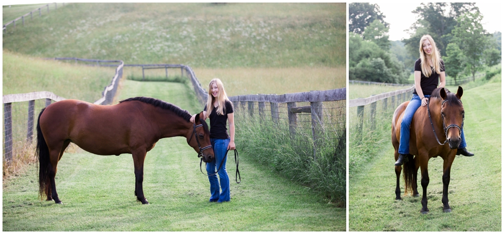 equine-photography-portrait-equestrian-staunton-virginia-photographer-maryland_0009.jpg