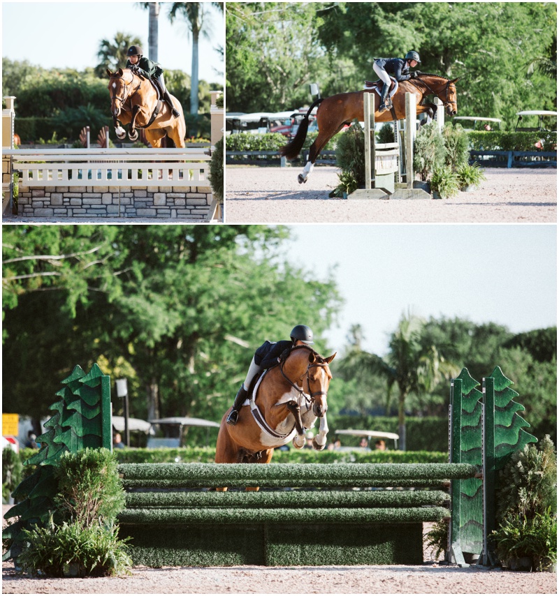 bethany-grace-photography-maryland-equine-wedding-photographer_0018.jpg