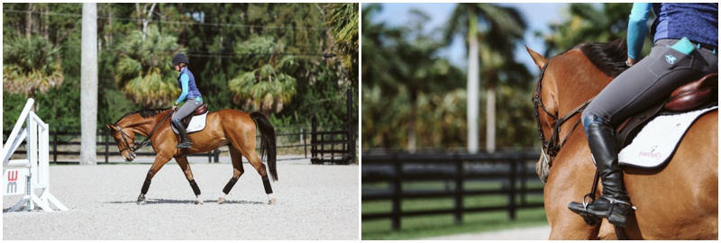 bethany-grace-photography-maryland-equine-wedding-photographer_0045.jpg