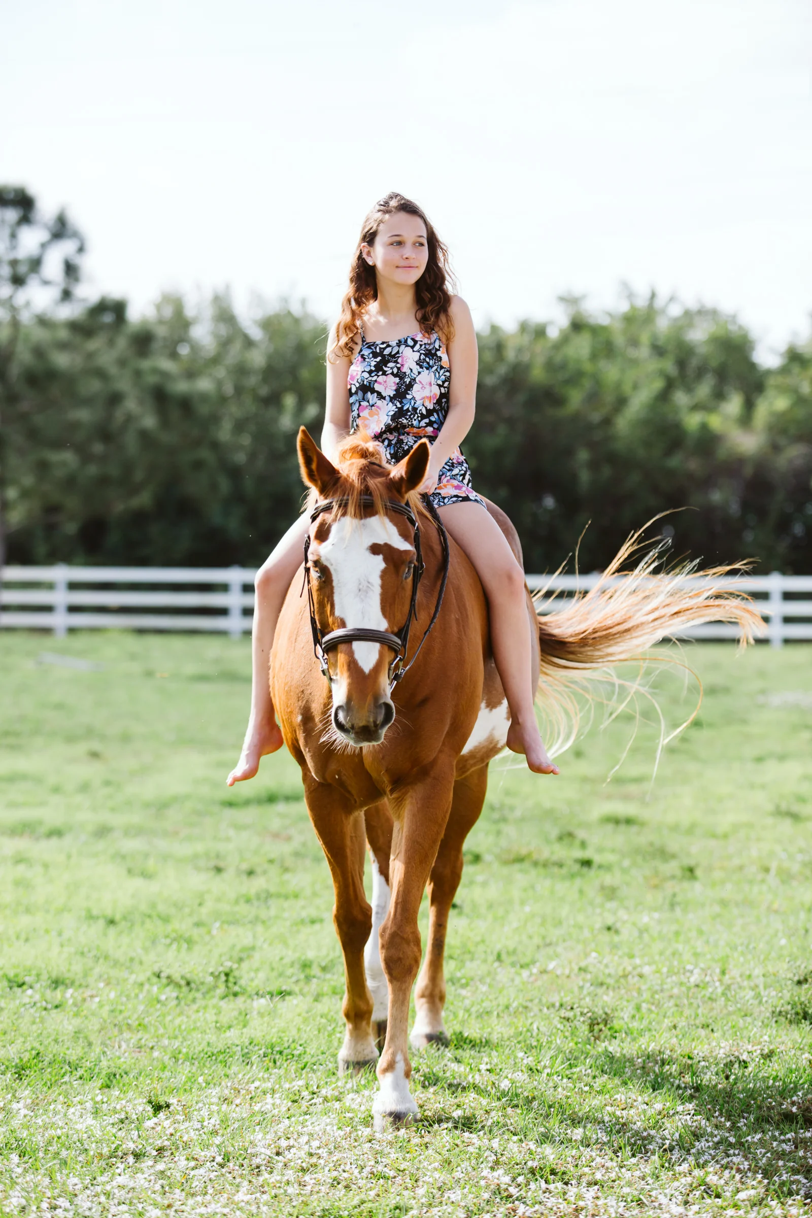 bethany-grace-photography-equine-portraits-maryland-1.JPG