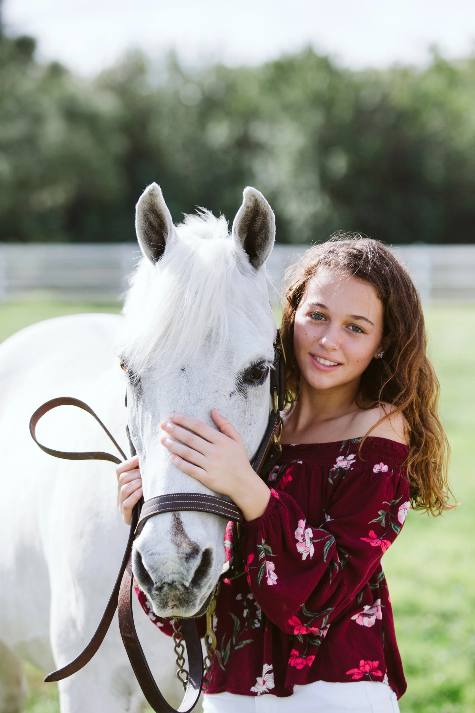 bethany-grace-photography-equine-portraits-maryland-2.JPG