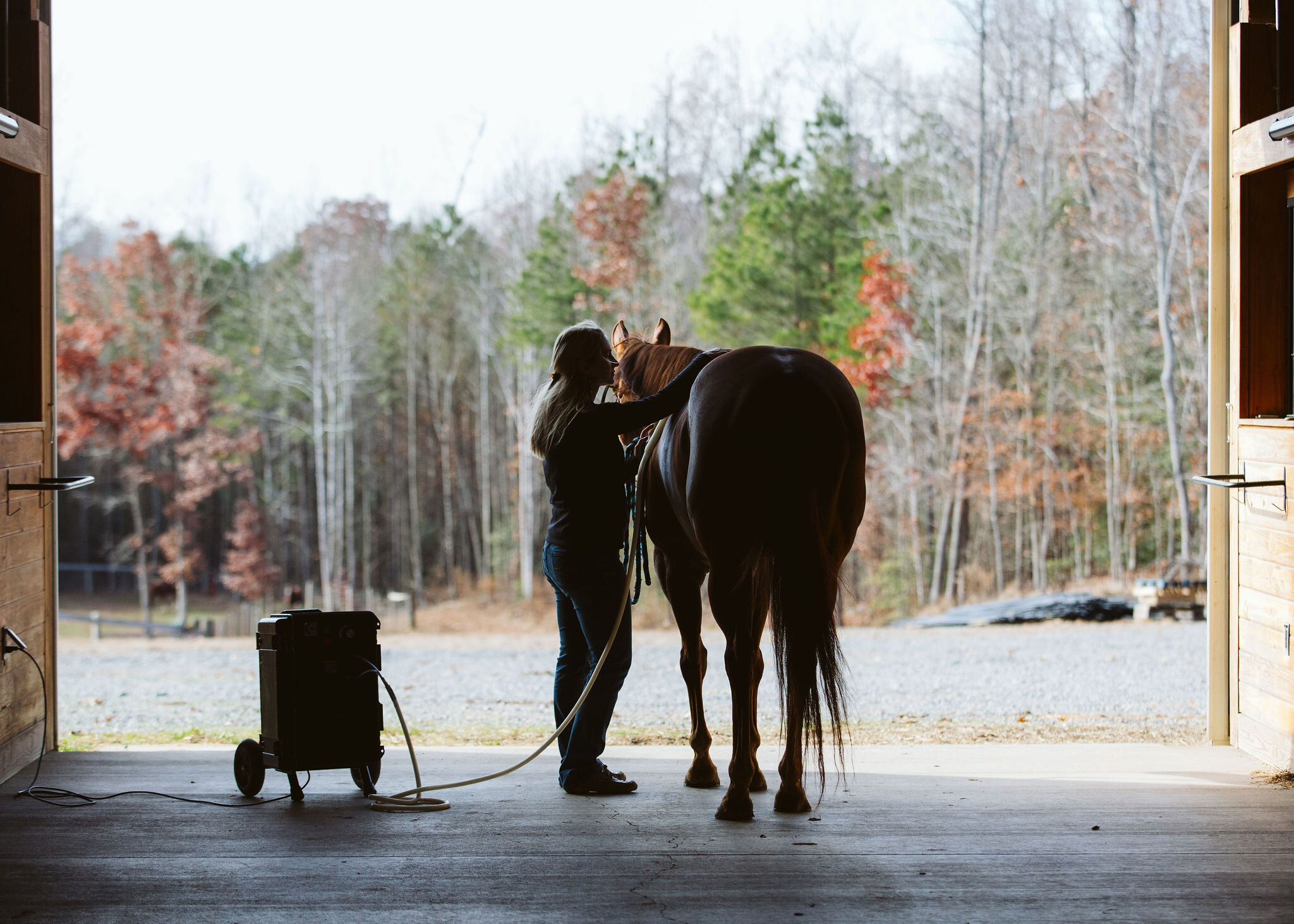 jettin-bye-farm-branding-session-bethany-grace-photography-1.JPG