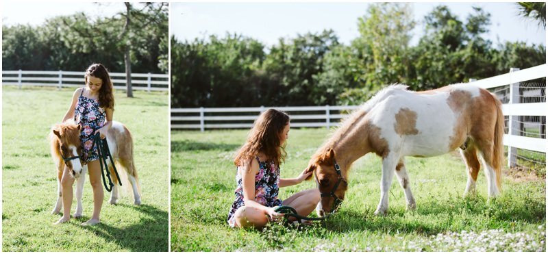 bethany-grace-photography-silver-spring-maryland-equine-photographer-florida_0004.jpg