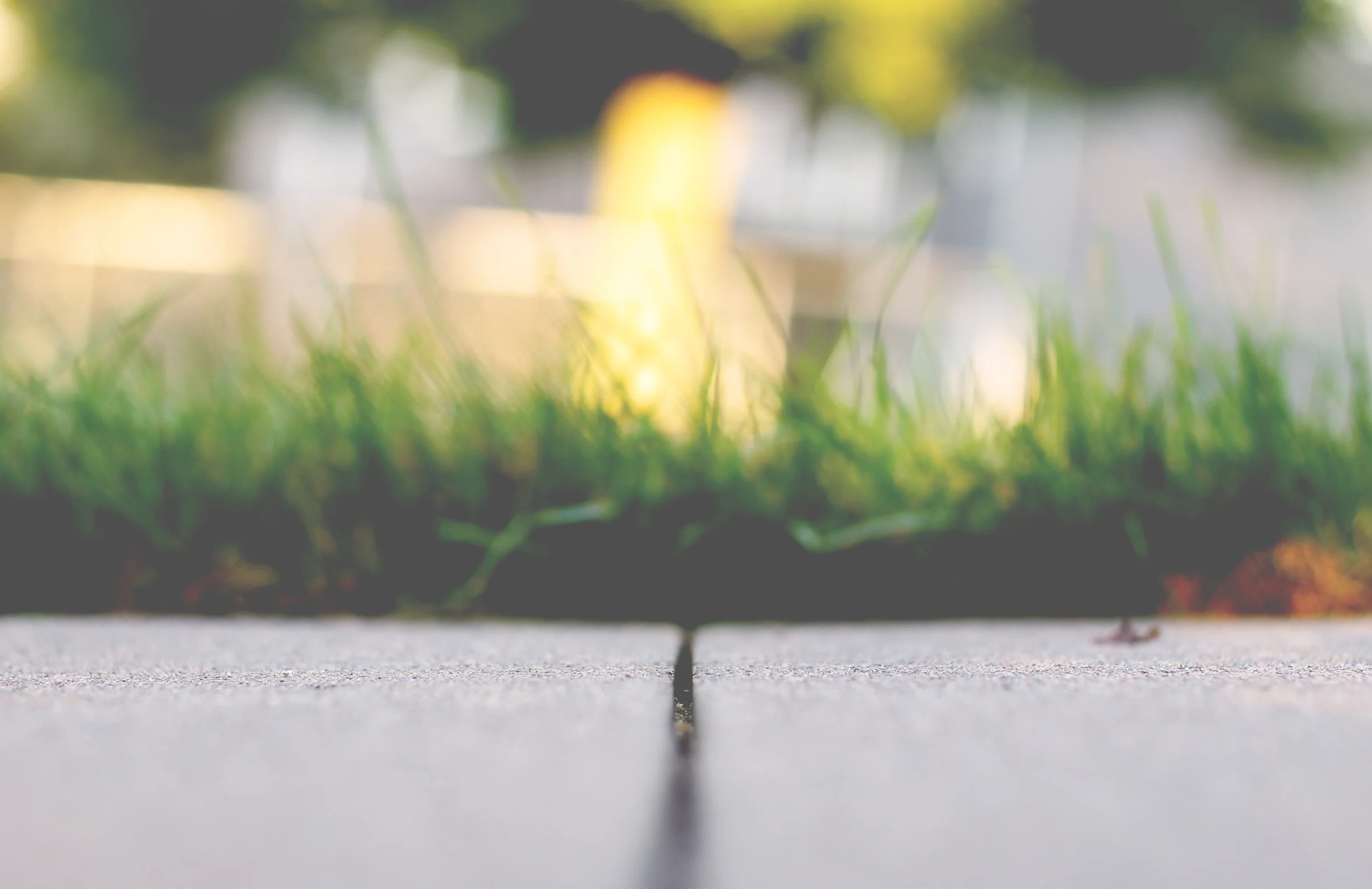 There’s No Cost for Kindness