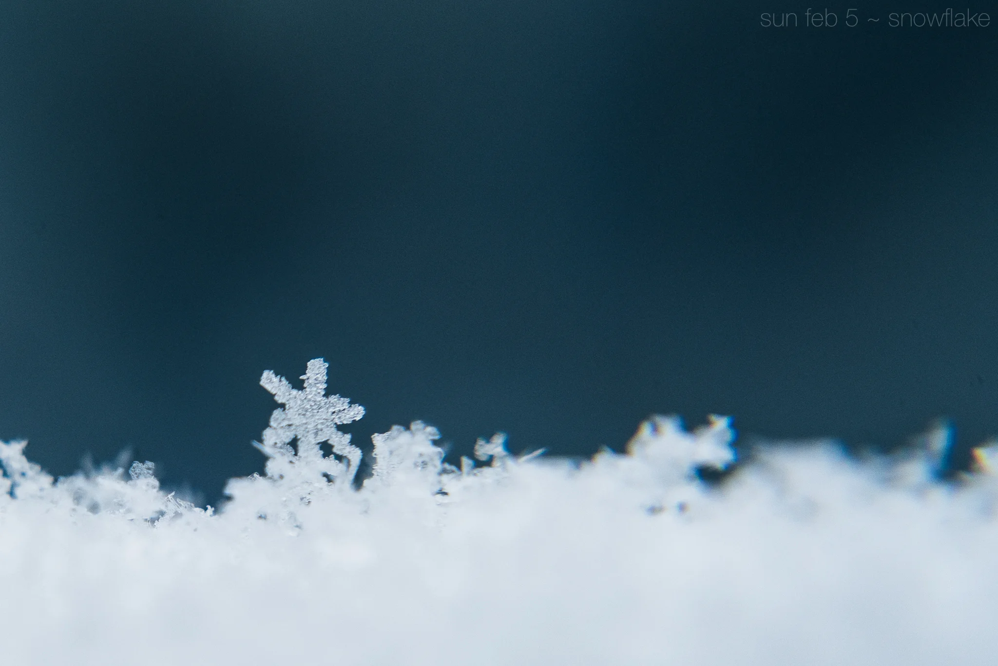 snowflake