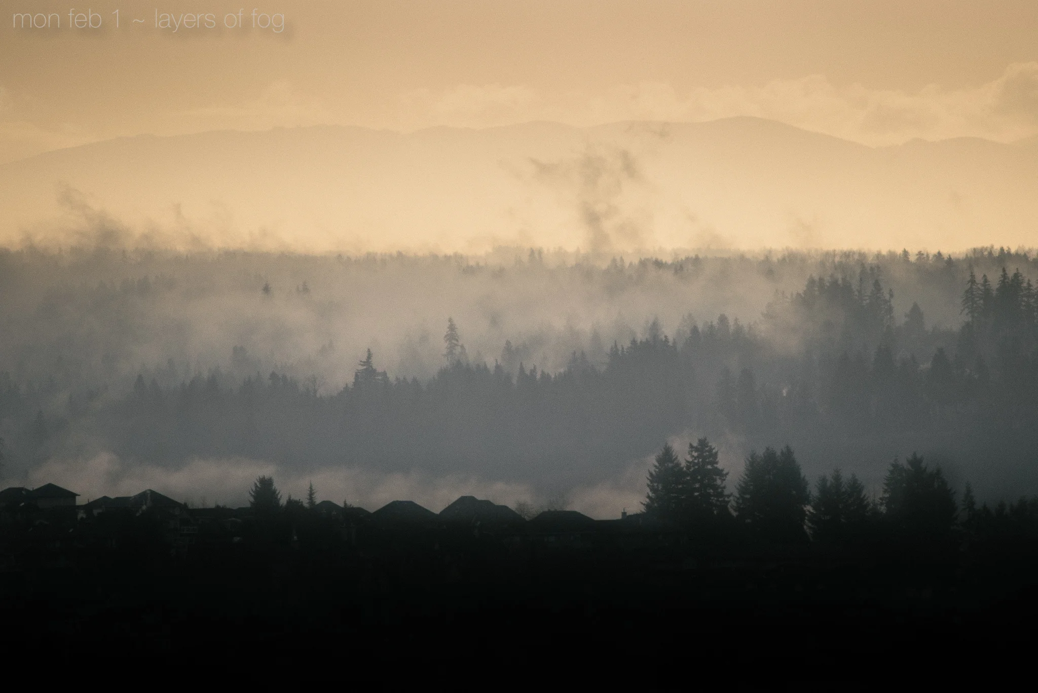 layers of fog