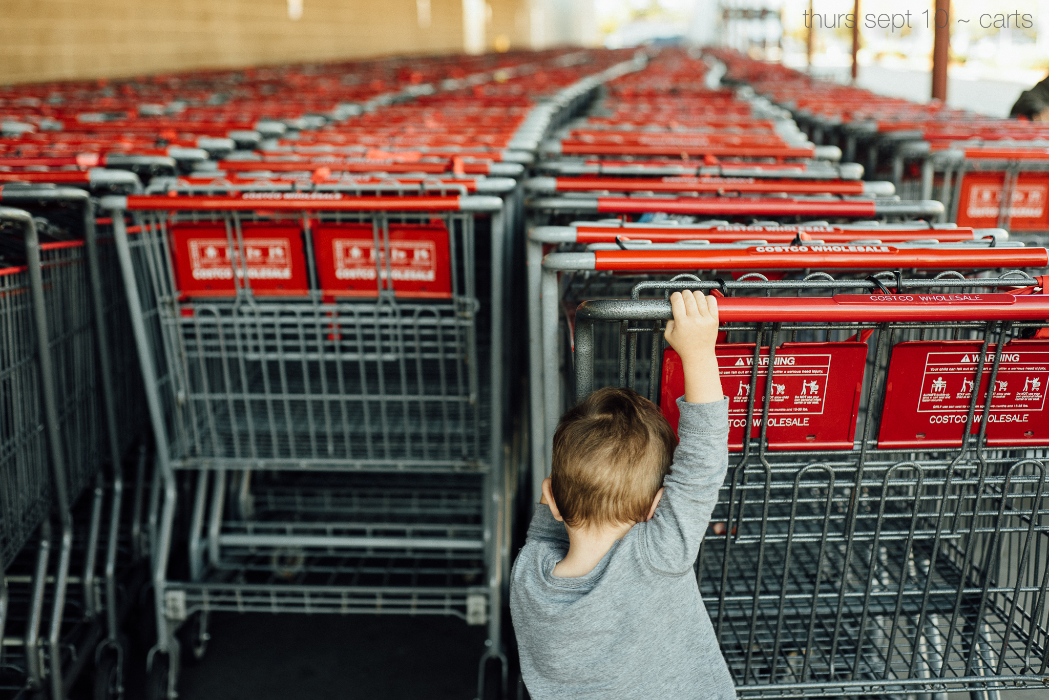 carts