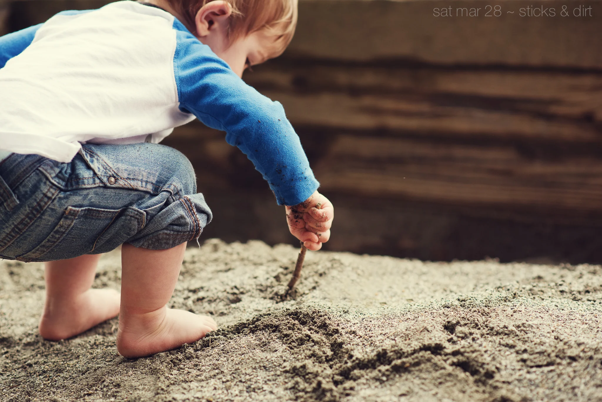 sticks & dirt