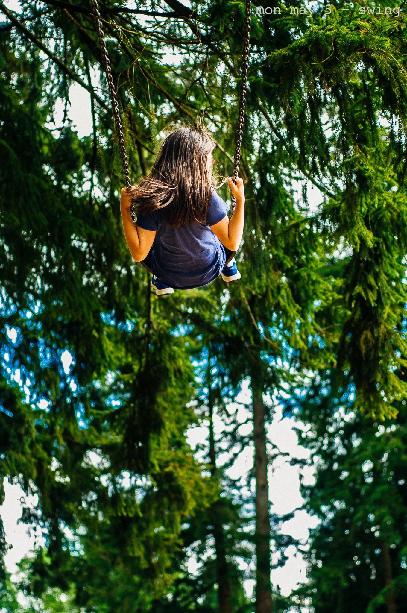 swing