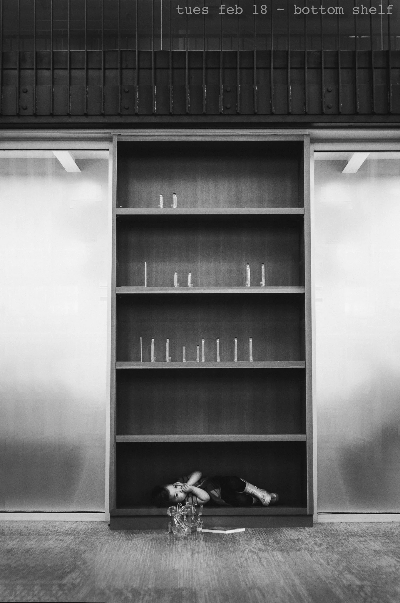 bottom shelf