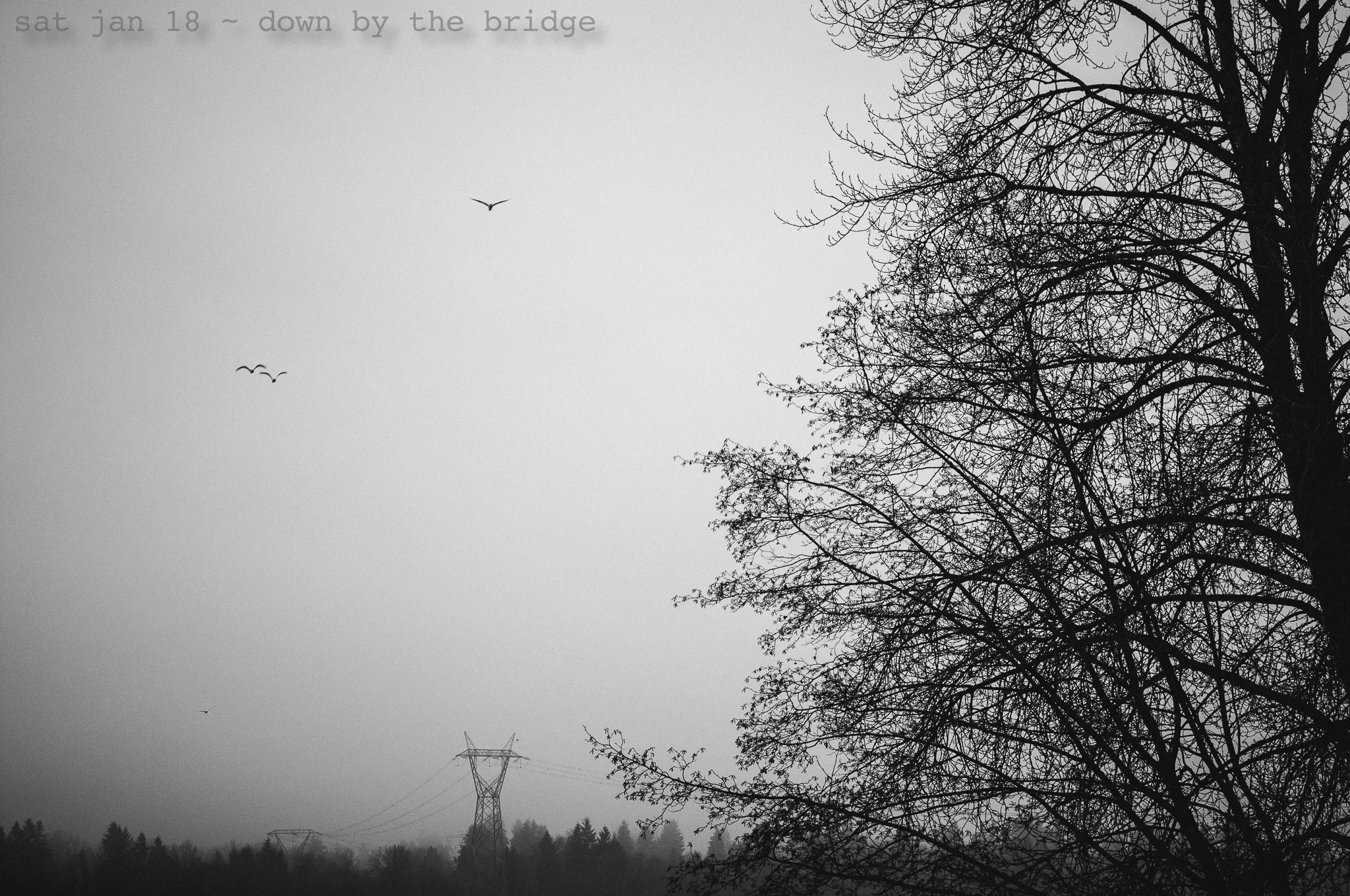 down by the bridge