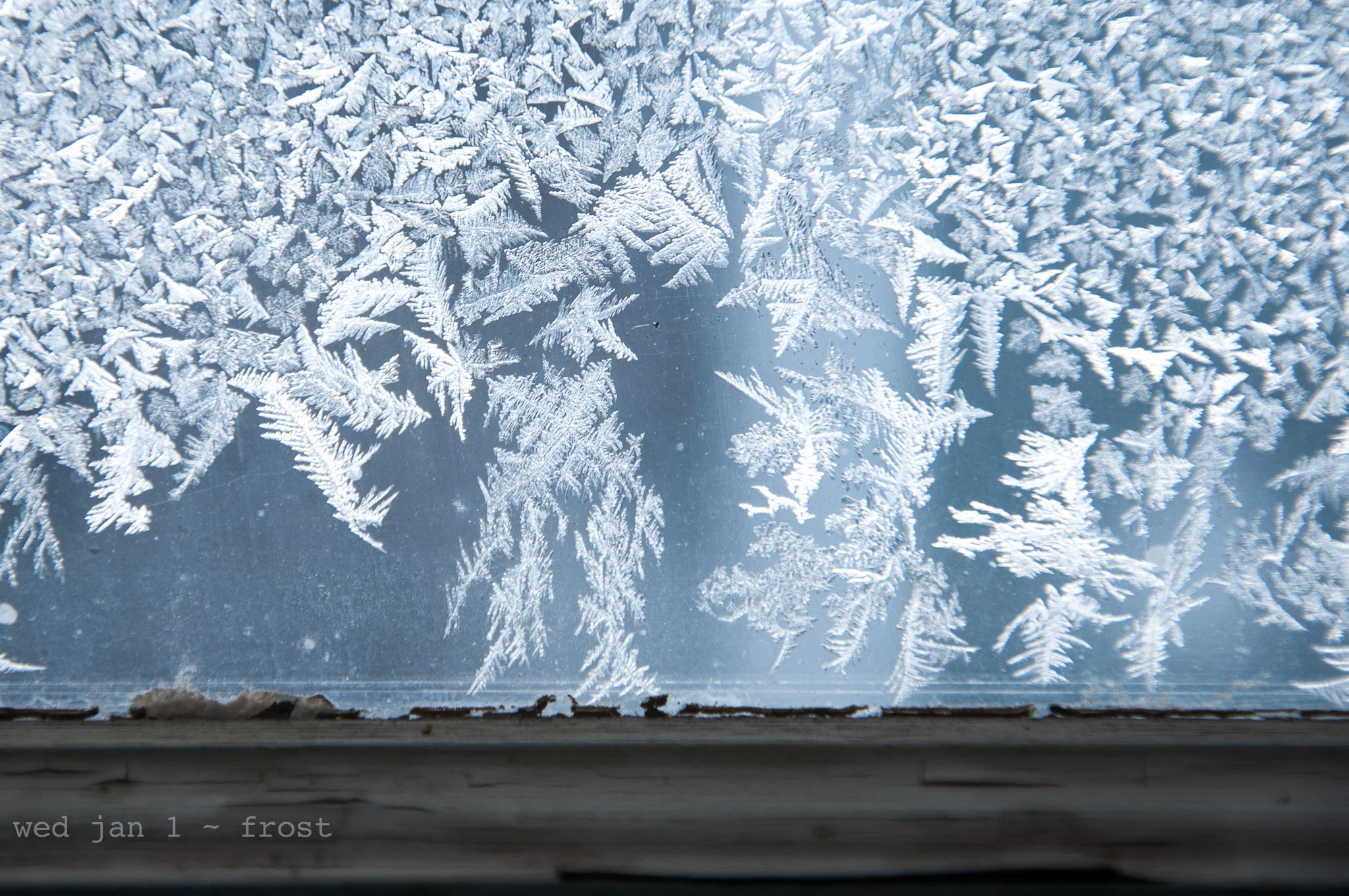 frost