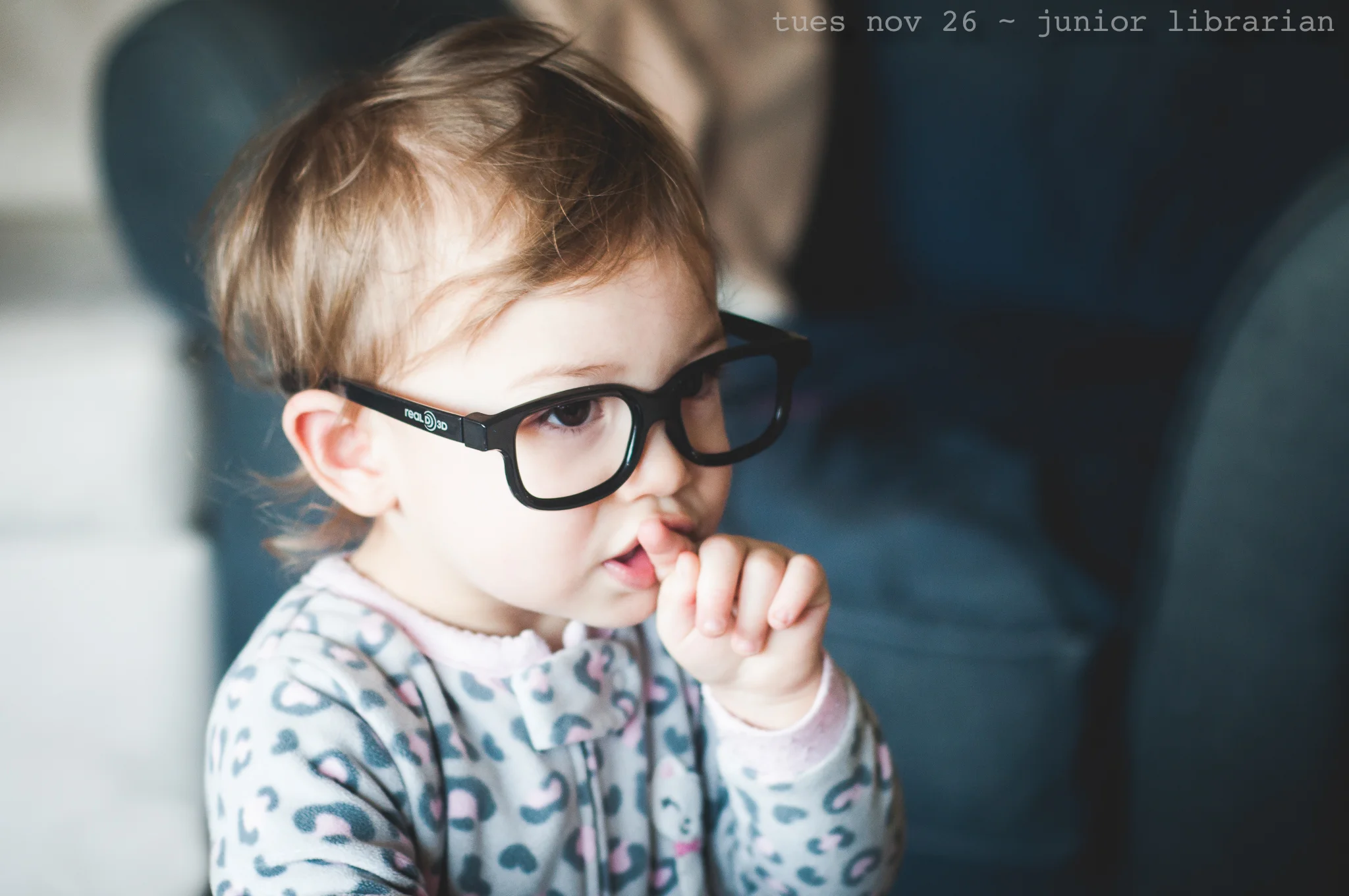 junior librarian