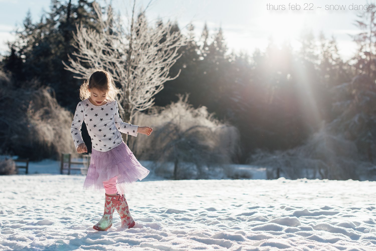 Snow Square Format Snow Dance