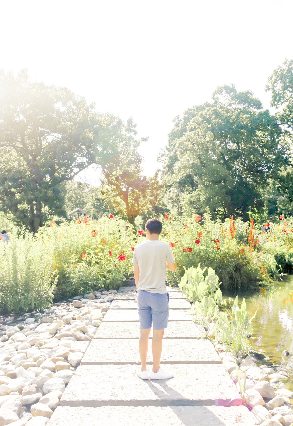botanical garden tim small.png