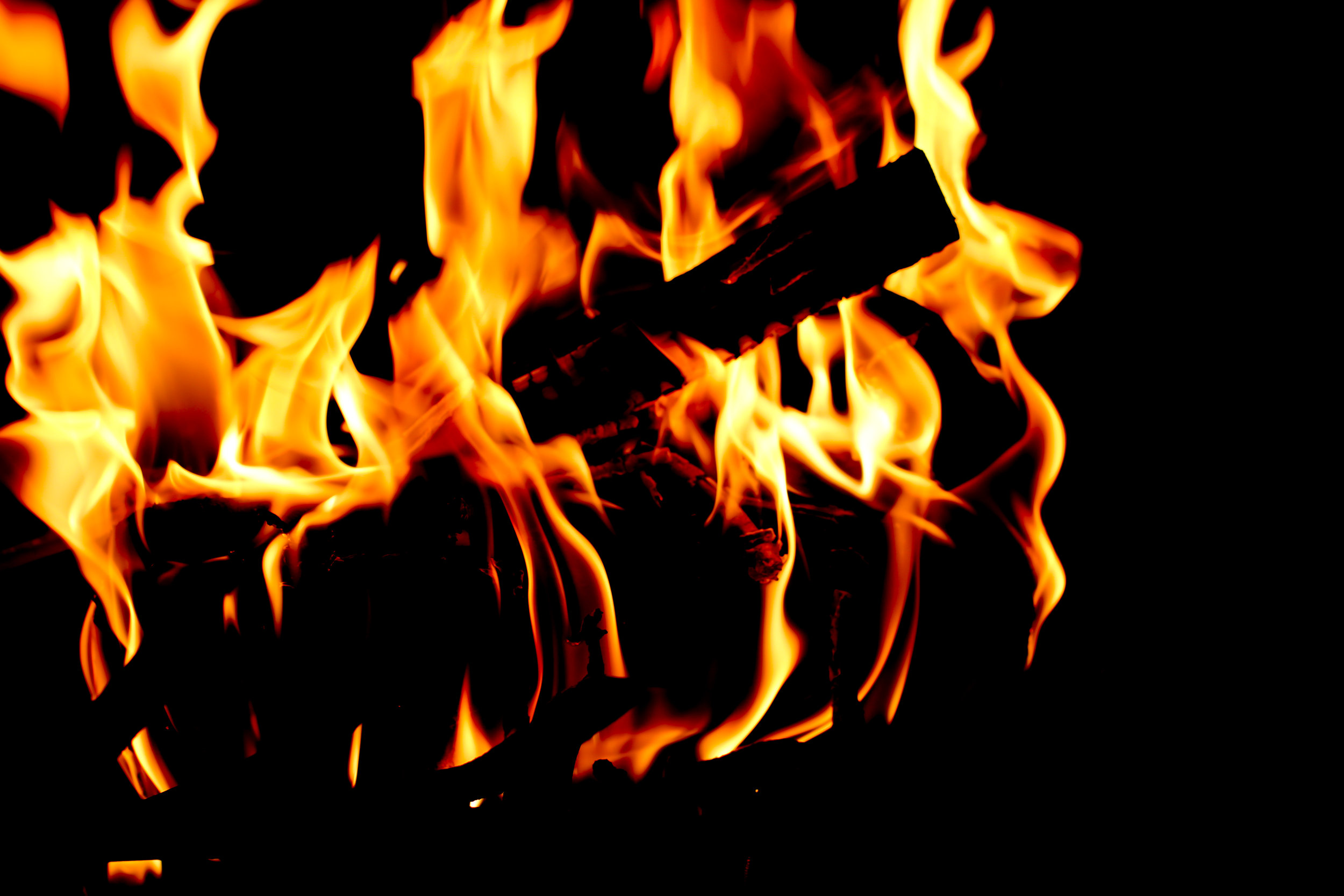 Firelight - Holli Z Photography.jpg