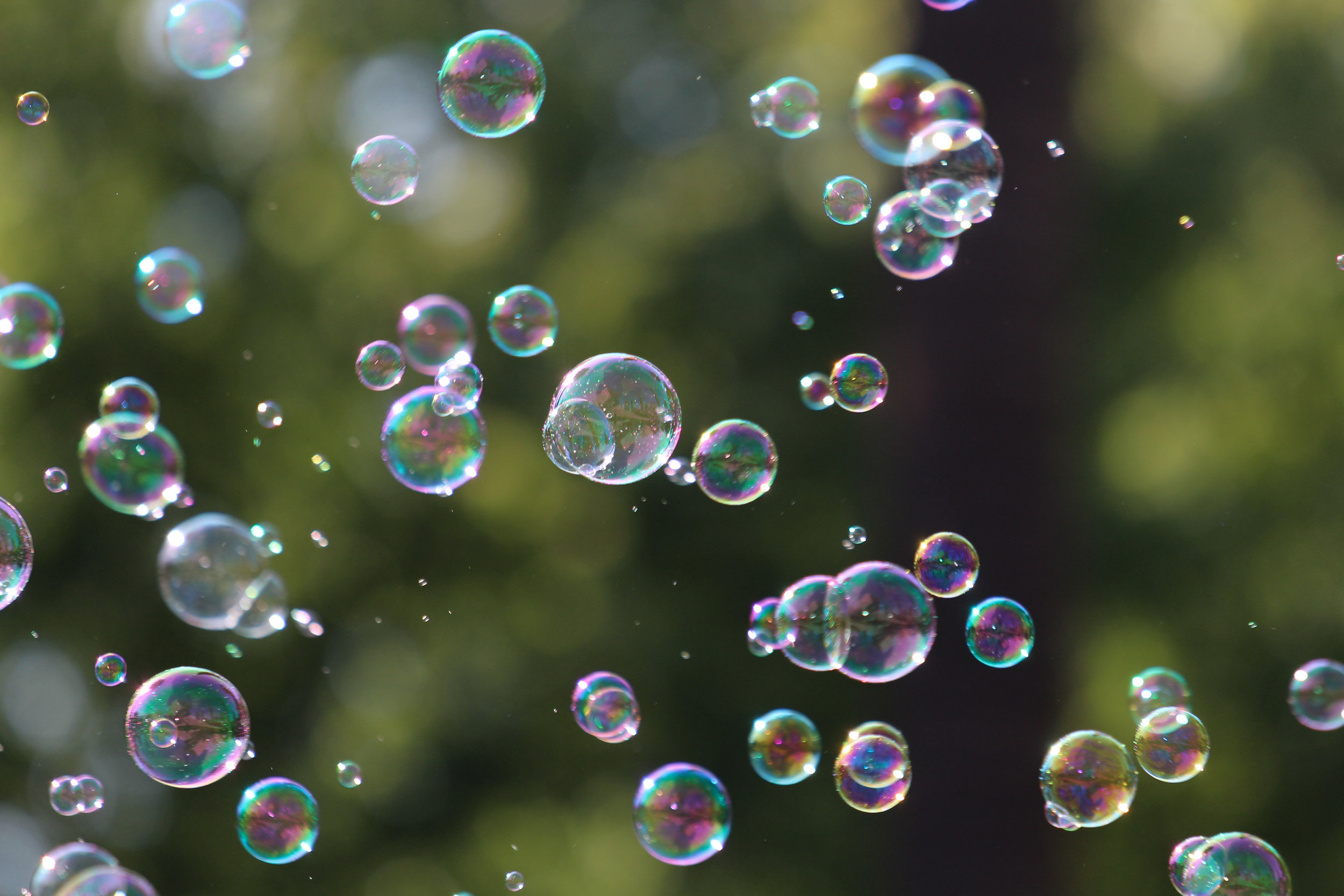 Magic Bubbles - Holli Z Photography - 1.jpg