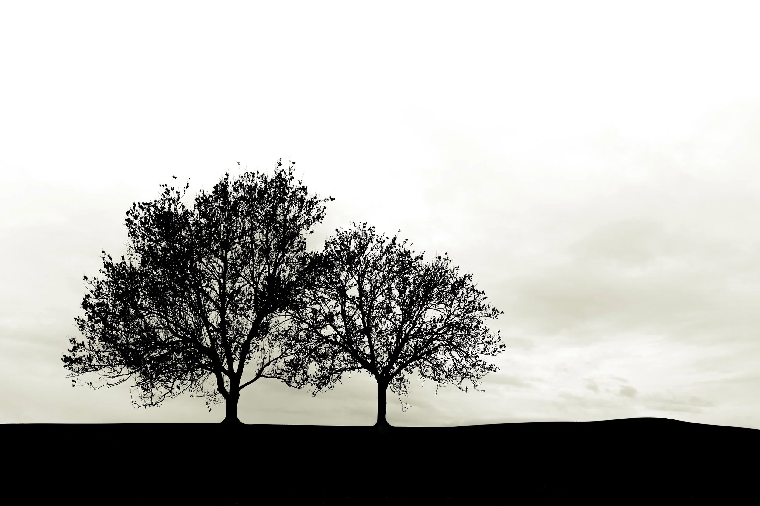 Void Expression - Holli Z Photography - 1.jpg