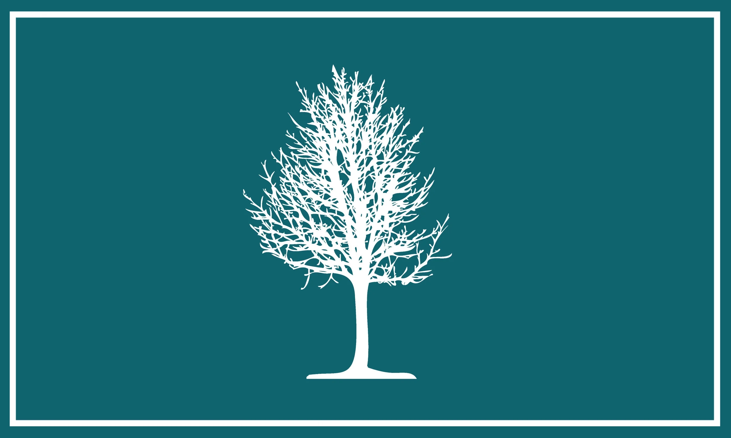 trees pantone 3.jpg