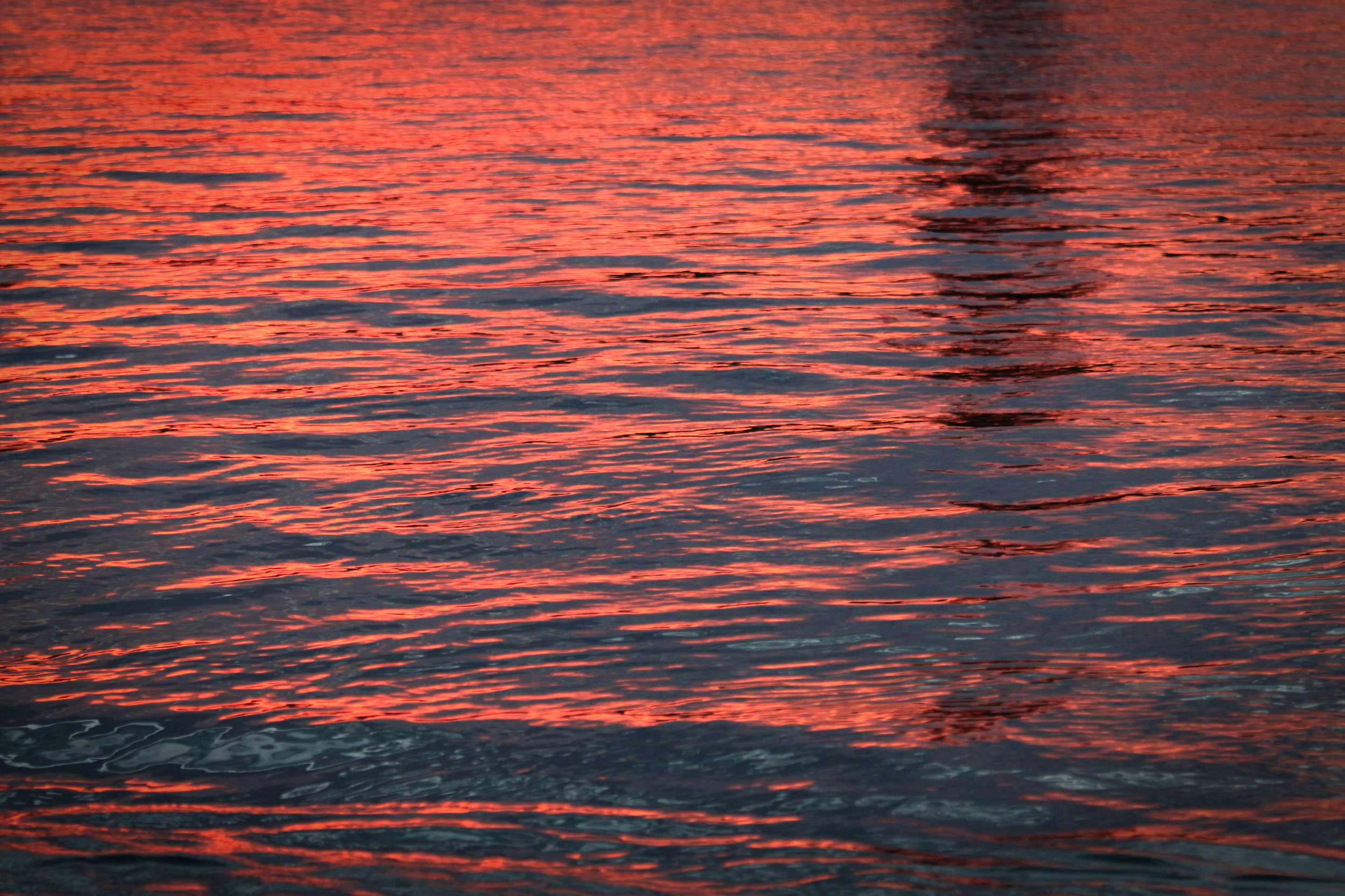 Red Waves - Holli Z Photography - 1.jpg