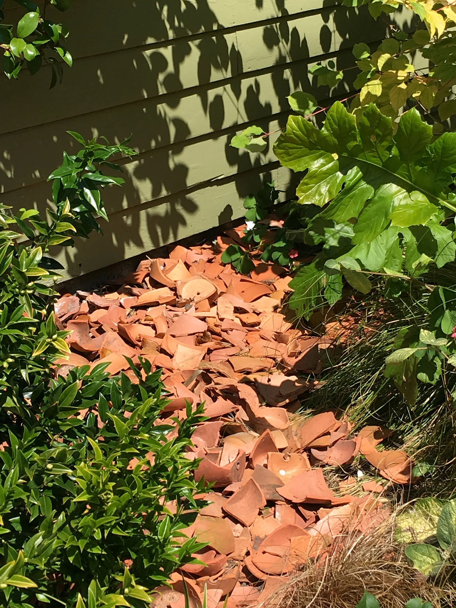 gordon's terracotta pots