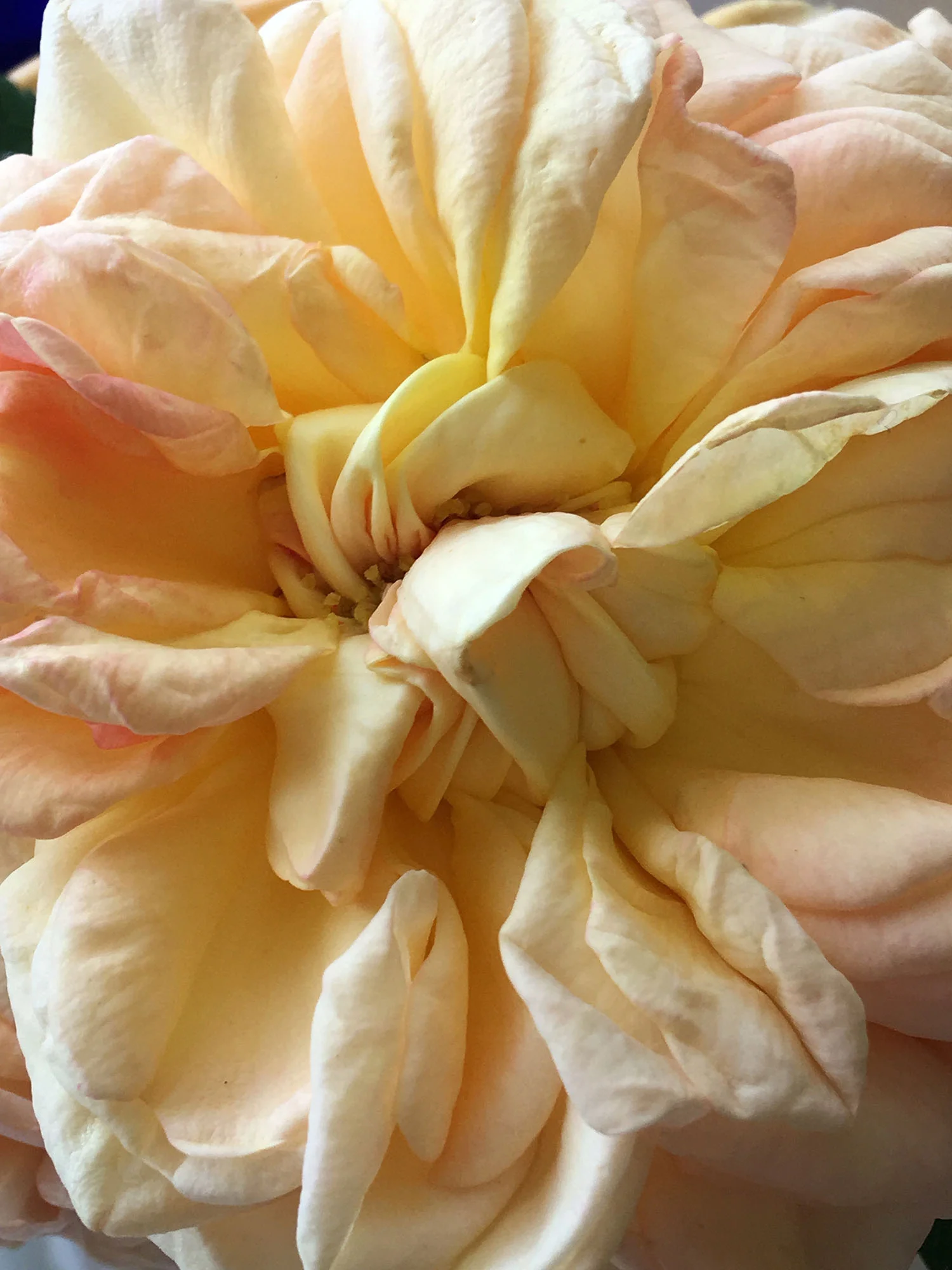 IMG_5416_1500web.jpg