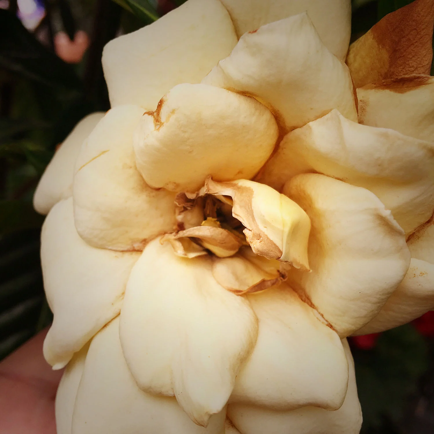 IMG_5530_1500web.jpg