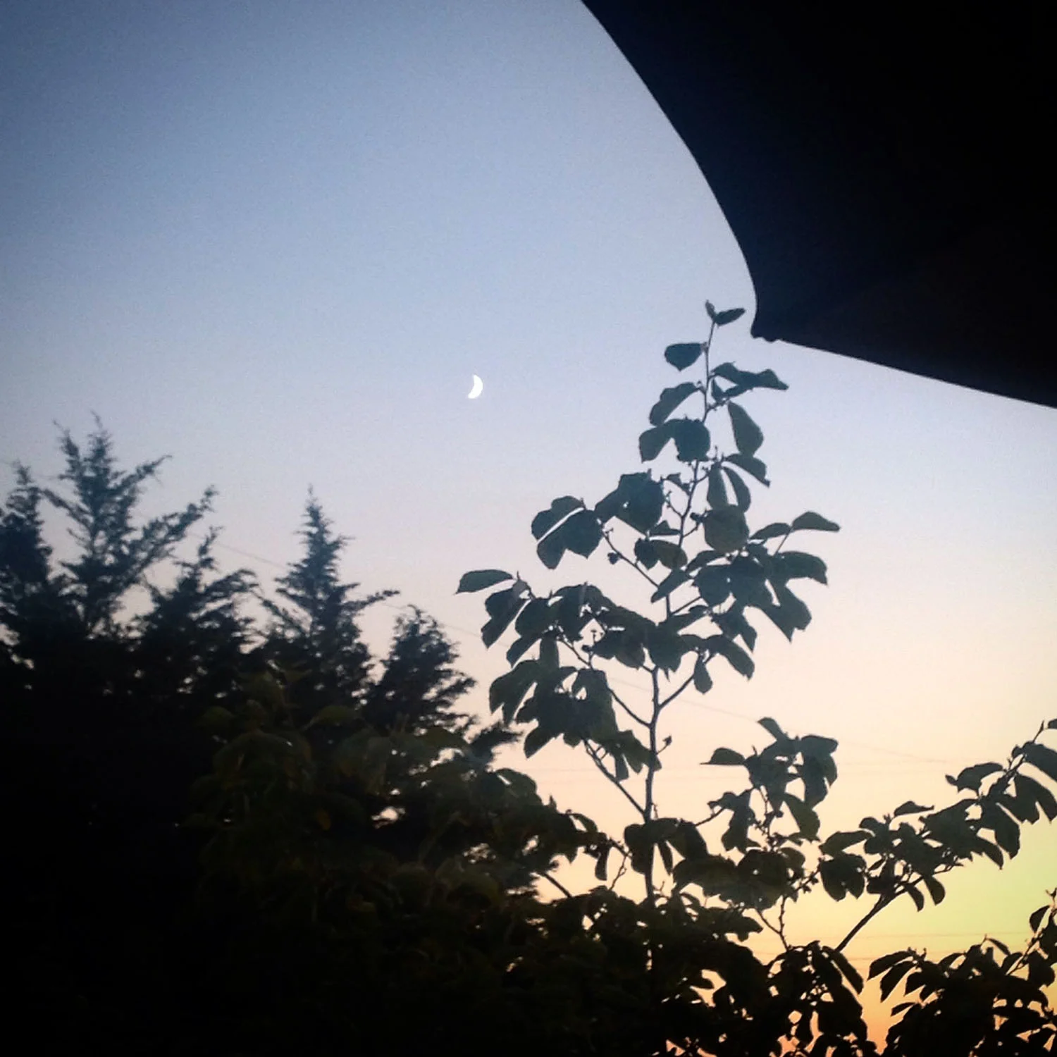 IMG_0478_1500web.jpg