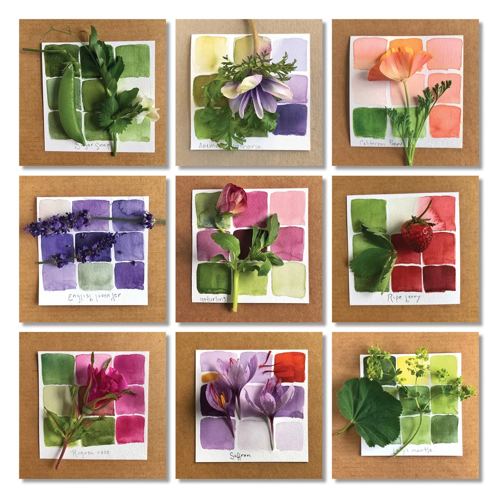 Color In and Out of the Garden — a handmade garden