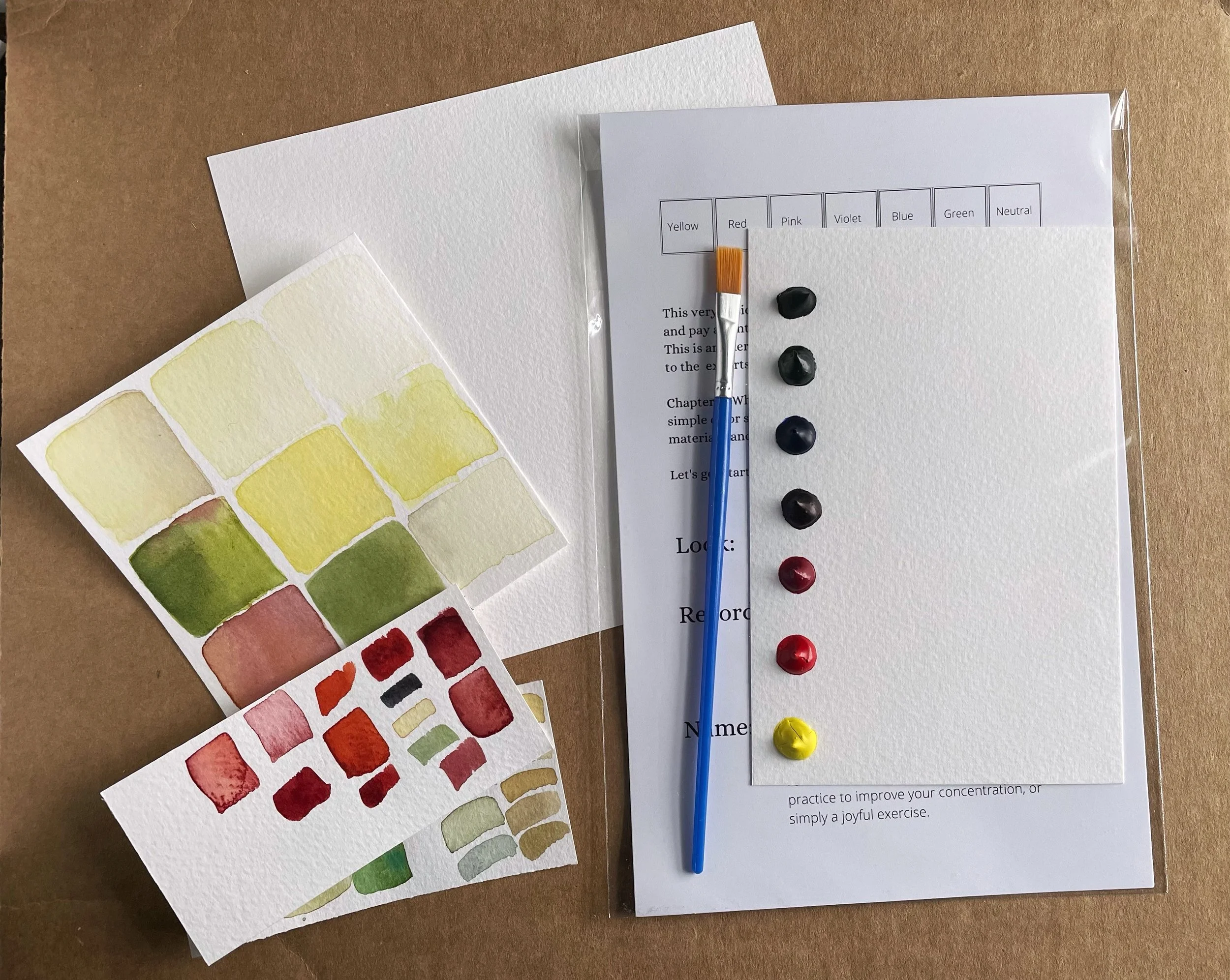 Color In the Garden at Dunn Gardens