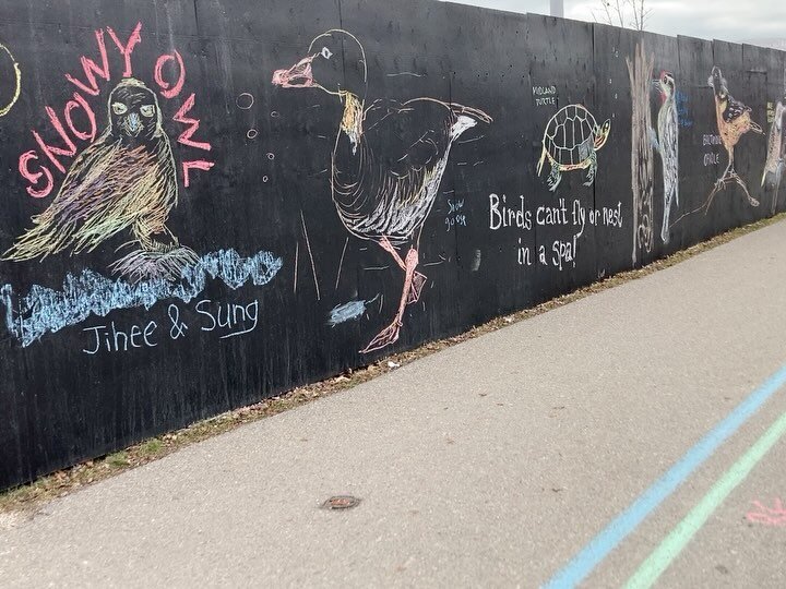 #ontarioplace is already boarded up, but artists have covered the black walls with powerful chalk messages. It&rsquo;s not too late to SAVE this amazing Toronto waterfront park!!!!
Premier Ford&rsquo;s plan involves leasing it to an Austrian spa comp
