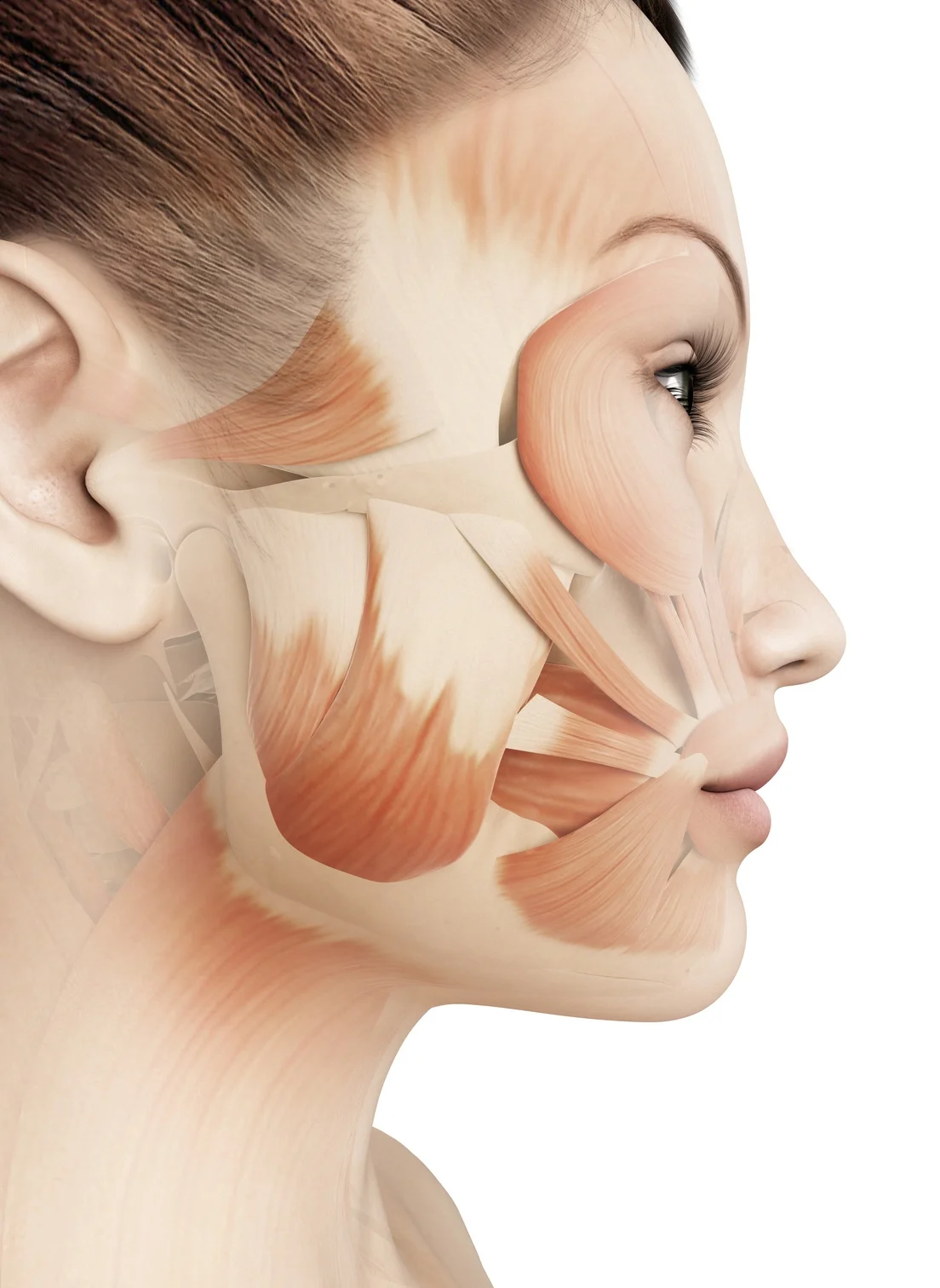 Fotolia_57723346_Subscription_Monthly_M.jpg