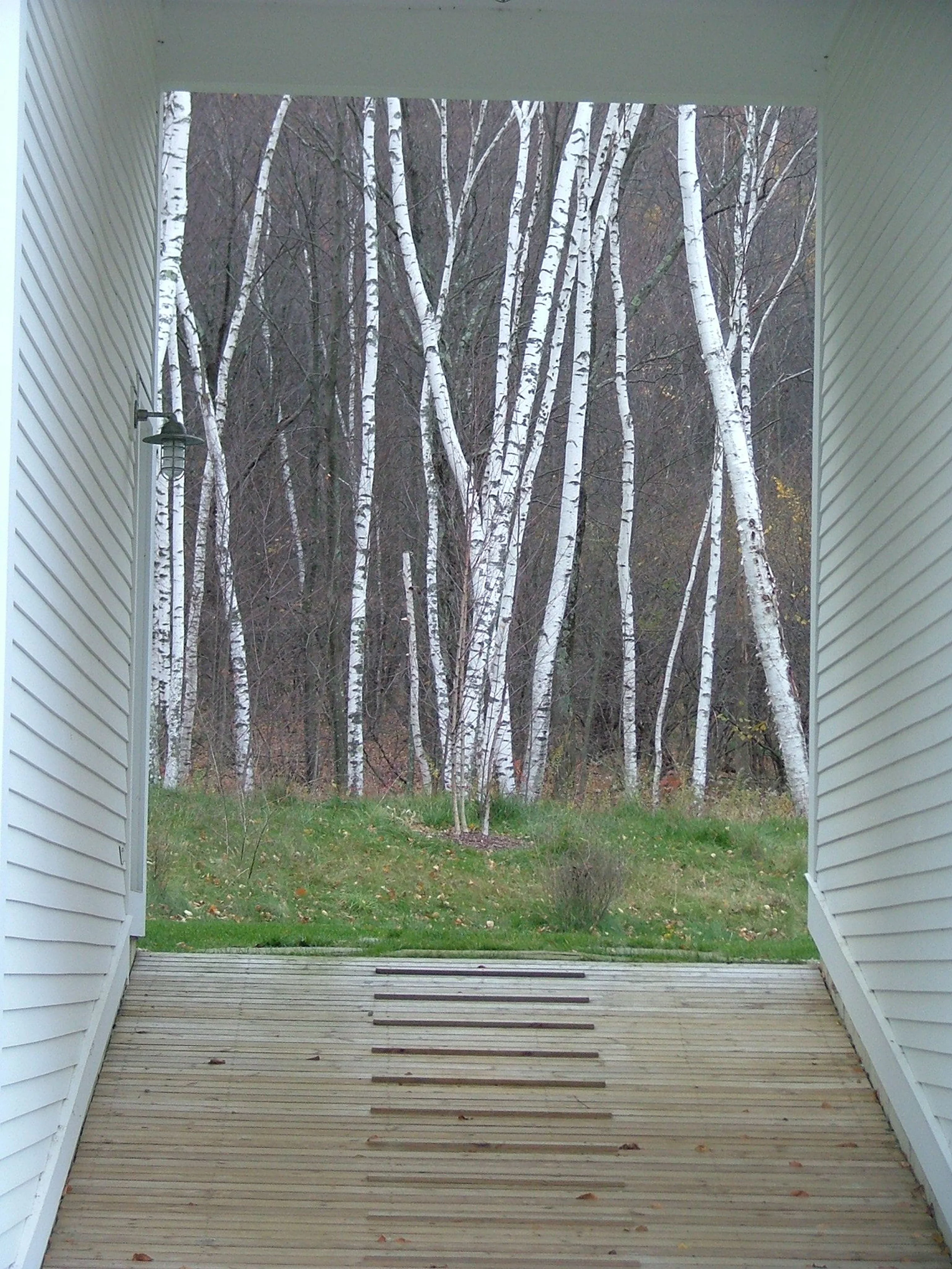 up the ramp to entry courtyard copy.jpg