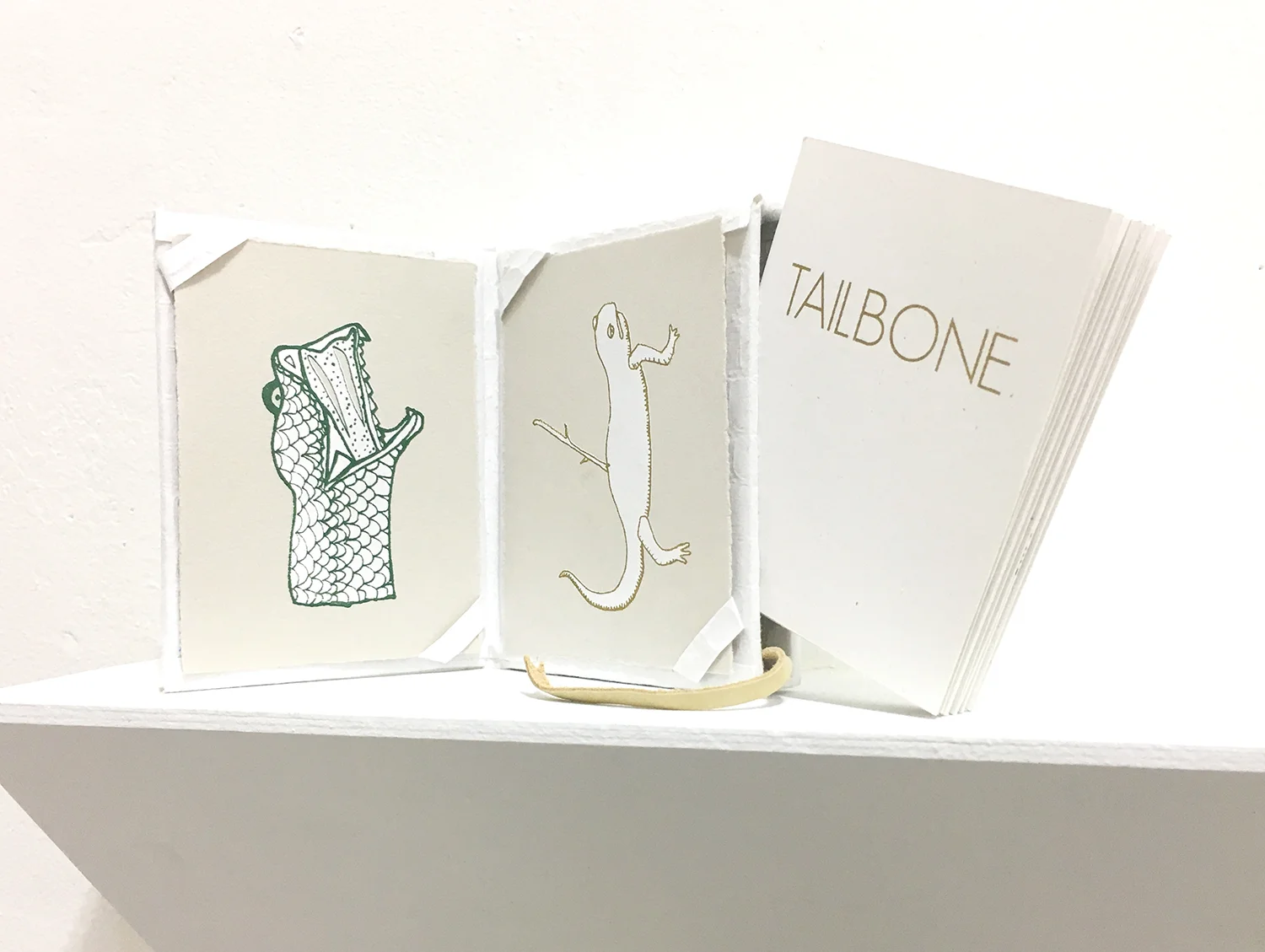 TailboneSpecialEdition.jpg