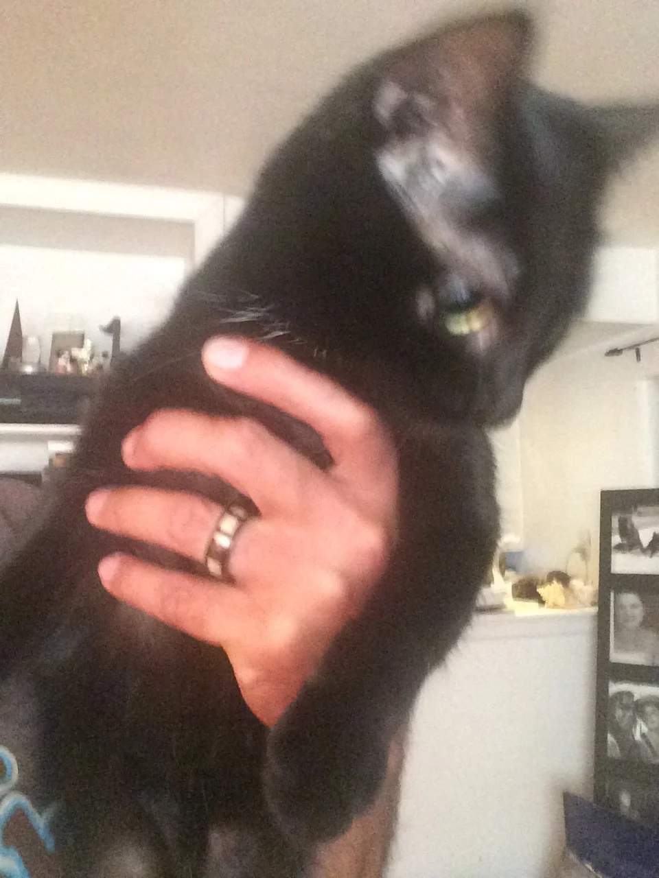 Though I didn't know it at the time, this would be the last time I'd ever hold Samantha.