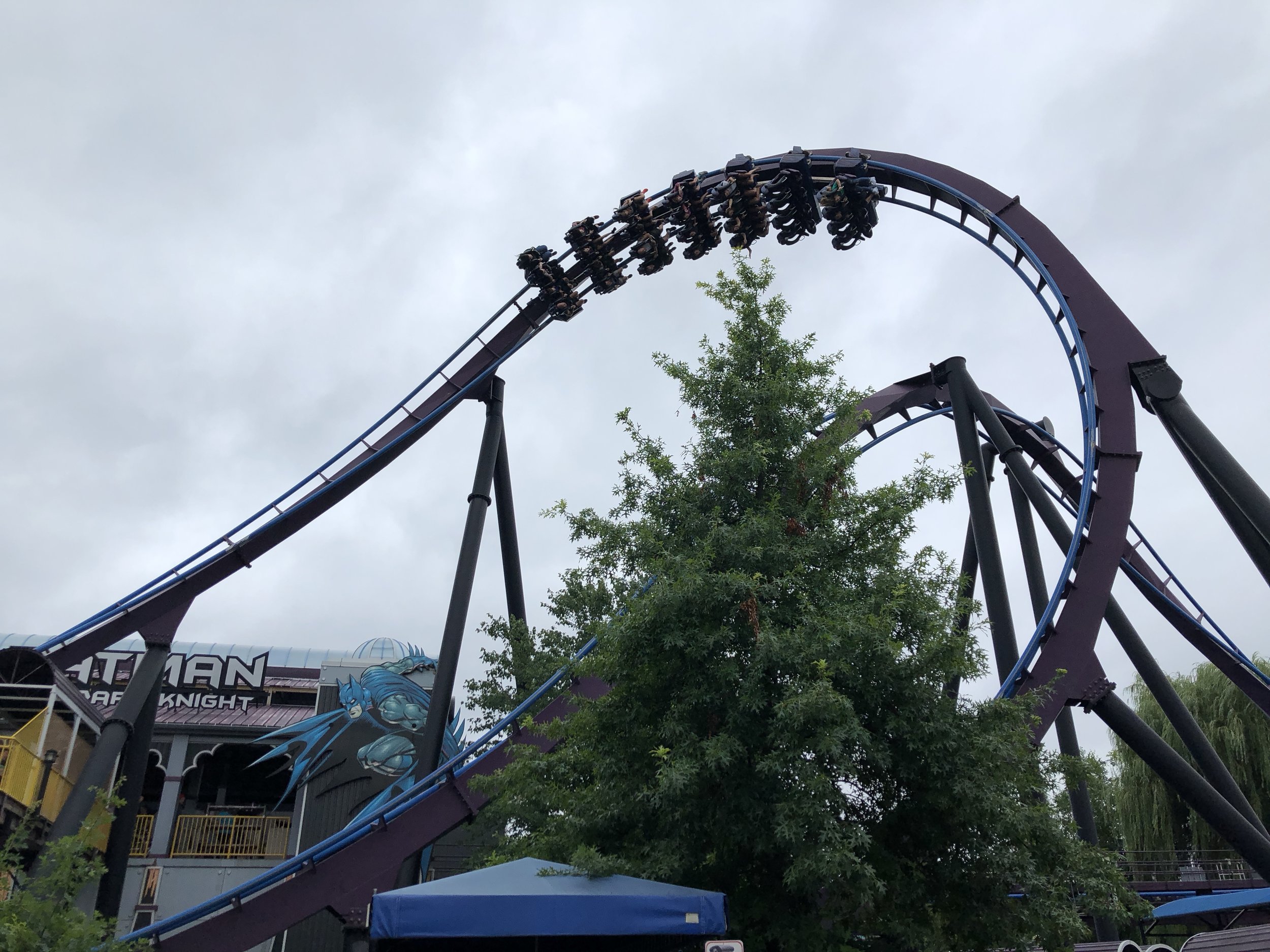 Batman: The Dark Knight.  