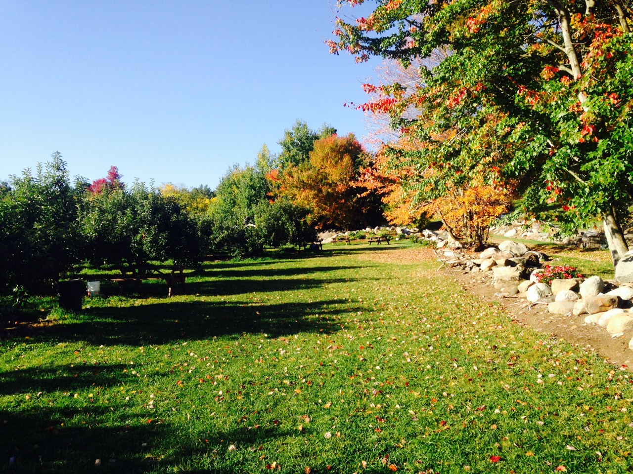 Our idyllic picnic area. Enjoy some of New England's best. 