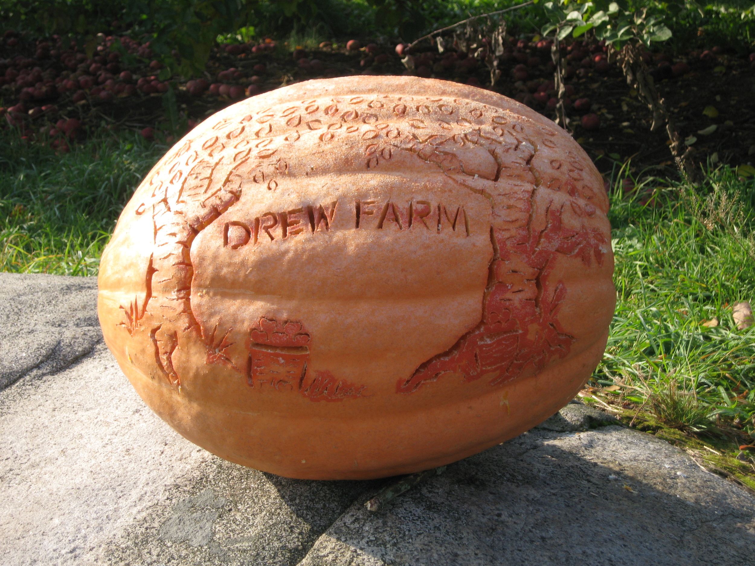 WE ARE DREW FARM
