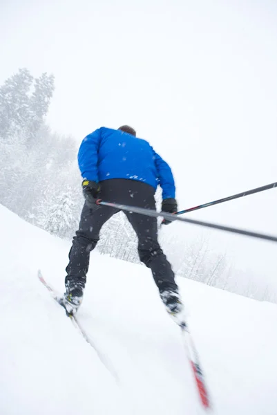 XC Ski Academy Newsletter - Sept '14