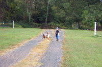 Noah and Tuffy on our way out of the Easton driveway for a walk after the rain.