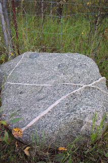 102_9685.jpg