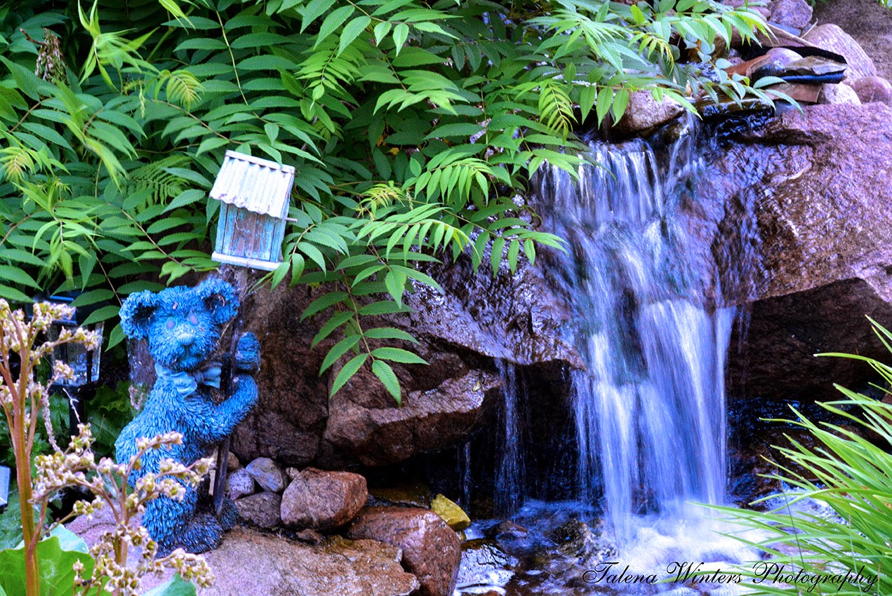 DSC_0720+fxd+web.jpg