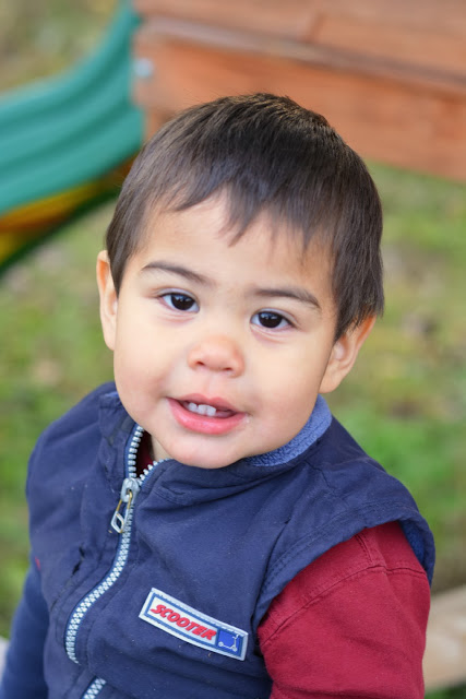 Levi, 18 mos