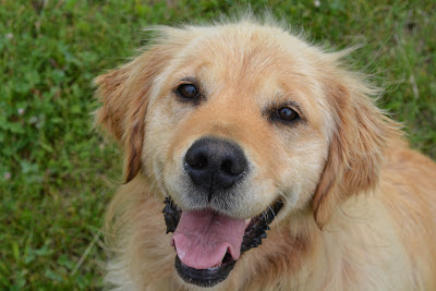 Aw, Sunshine Girl. Gotta love this face!