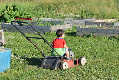 This lawnmower is currently out of commission--another casualty of the rocks we grow so well here. Not that Levi cares!