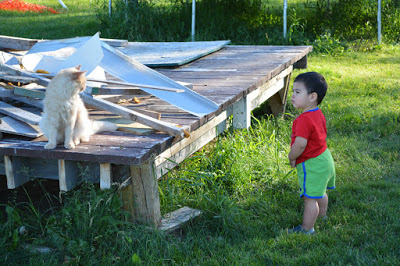 The boy and the Tigger, sizing each other up.